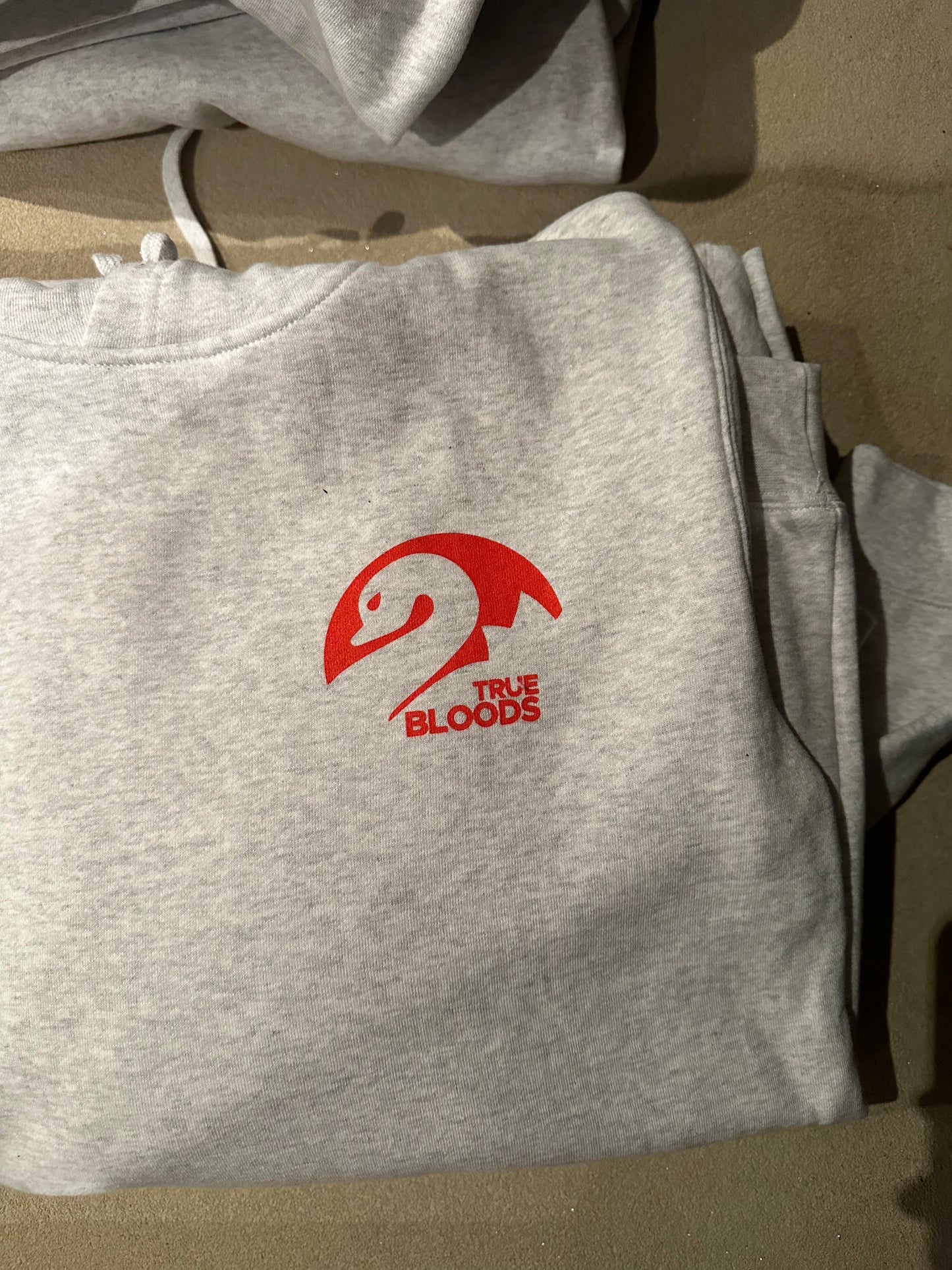 The Faithful's Hoodie (logo error)