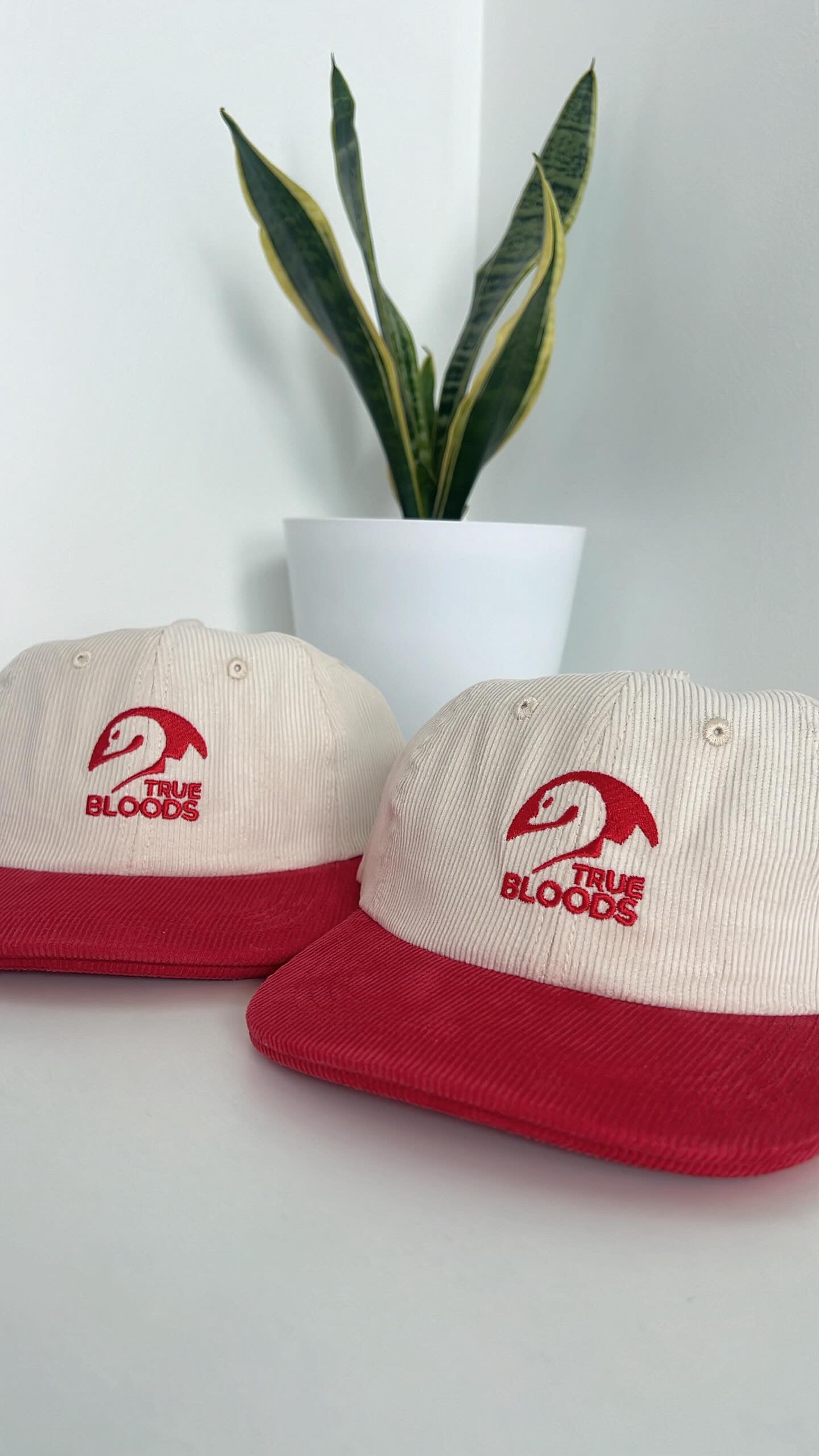True Bloods Cord Hat
